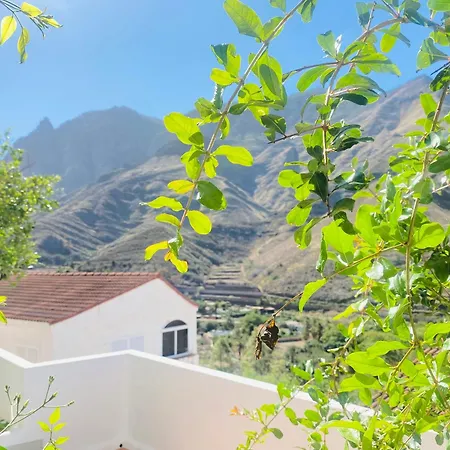 Charming And Cozy House In Agaete * San Pedro (Gran Canaria)
