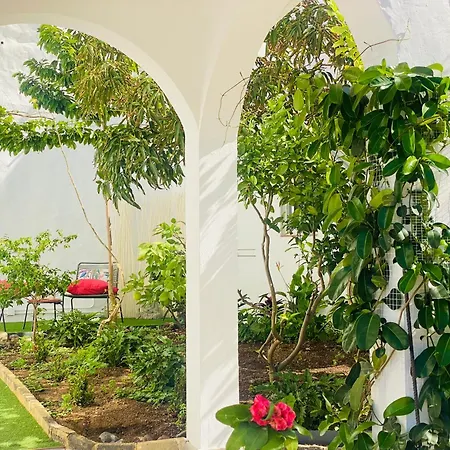 Charming And Cozy House In Agaete