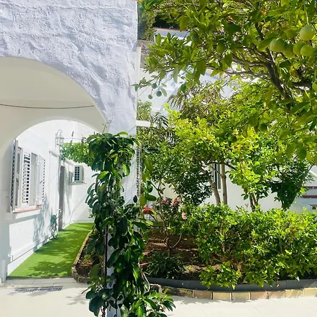 Holiday home Charming And Cozy House In Agaete
